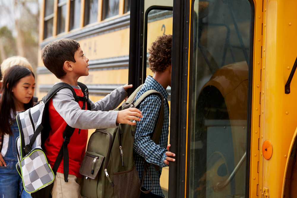 school excursion buses