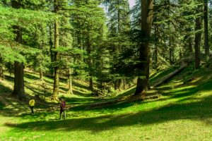 Best Holiday in Himachal Foothills