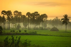 Planning a Safe Holiday in Andhra Pradesh