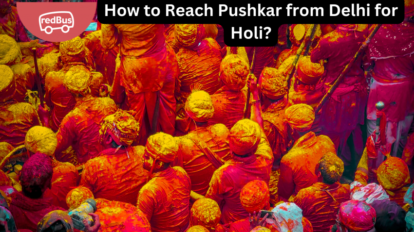 Visit Pushkar for Holi
