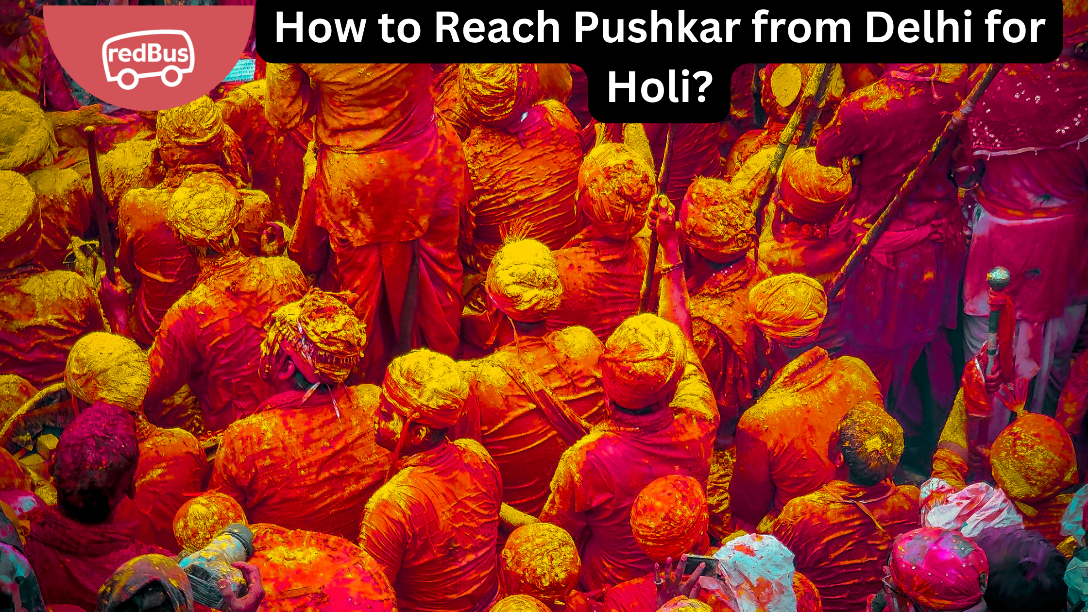 How to Reach Pushkar From Delhi for Holi?