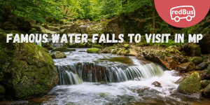 Famous Waterfalls to Visit in Madhya Pradesh