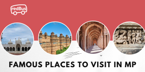 Top 25 famous places to visit in Madhya Pradesh