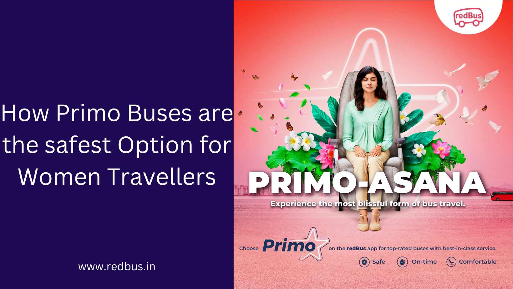 How Primo Buses are the Safe Choice for Women?