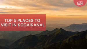 Top 5 Places to Visit In Kodaikanal