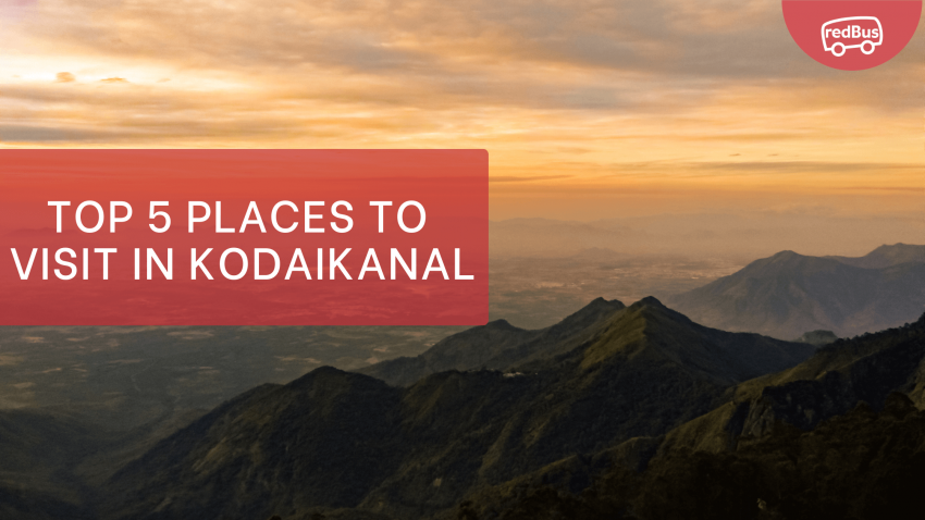 Top 5 Places to Visit In Kodaikanal