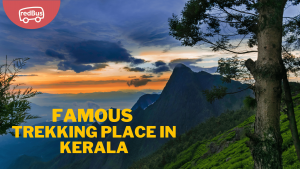 The 10 Best Trekking Places in Kerala You Can Reach by Bus