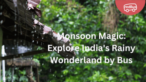 Celebrating Monsoon by Visiting these Places by Bus