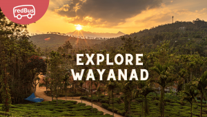 Discover the Enchanting Beauty: 10 Must-Visit Places Near Wayanad