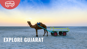 Rolling Through Gujarat: A Bus-Driven Odyssey to 20 Must-Visit Destinations