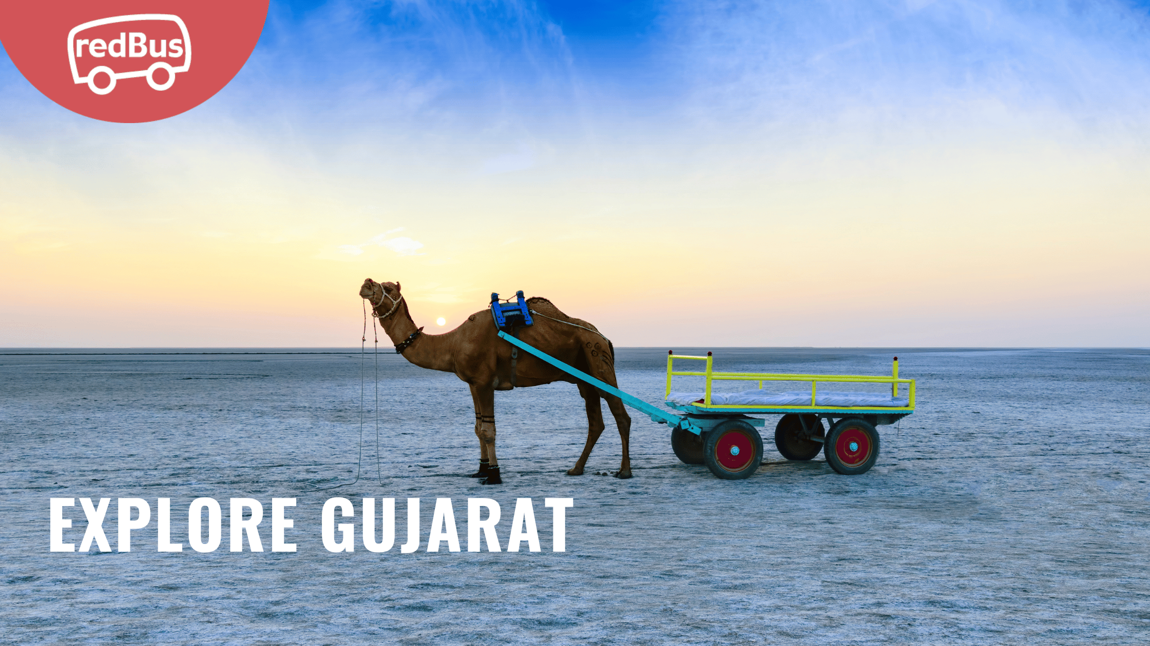 Rolling Through Gujarat: A Bus-Driven Odyssey to 20 Must-Visit Destinations