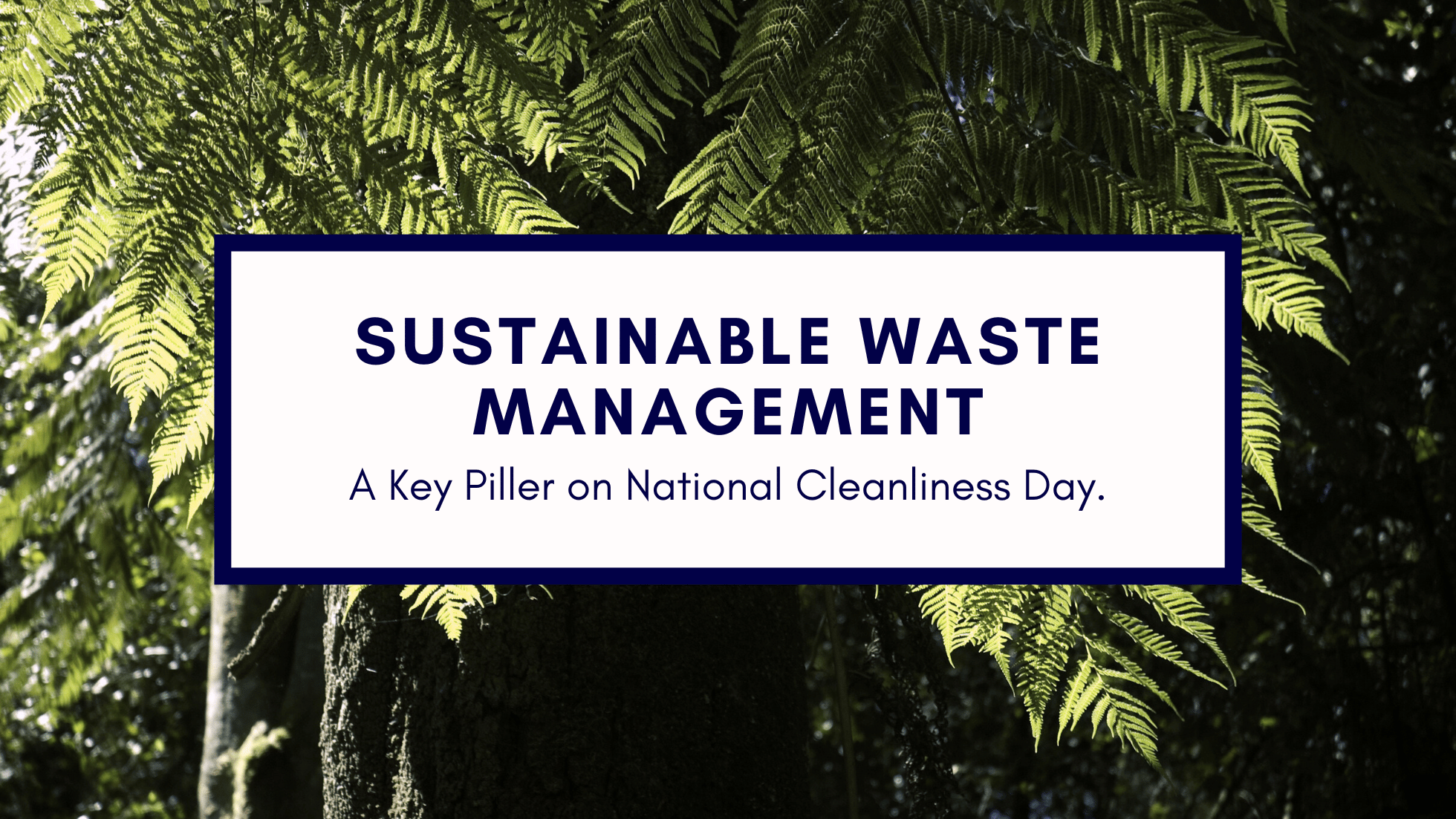 Sustainable Waste Management: A Key Pillar of National Cleanliness Day