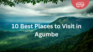 10 Best Places to Visit in Agumbe