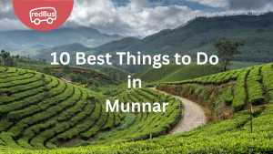 10 Best Things to Do in Munnar