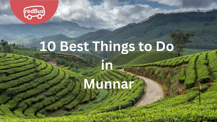 Best Things to do in Munnar