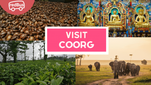 Coorg Travel Guide: Famous Places to Visit in Coorg