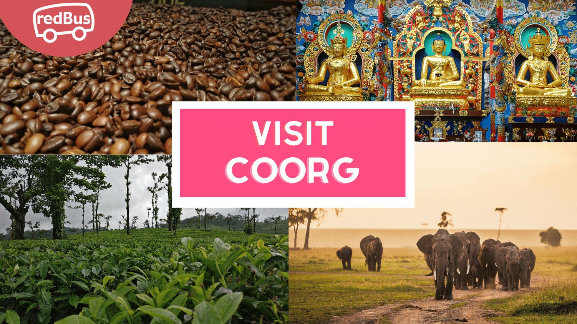 Coorg Travel Guide: Famous Places to Visit in Coorg - redBus Blog