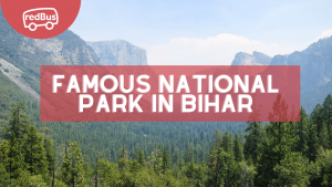 Exploring Bihar’s Natural Treasures: Famous Wildlife Sanctuaries and National Parks