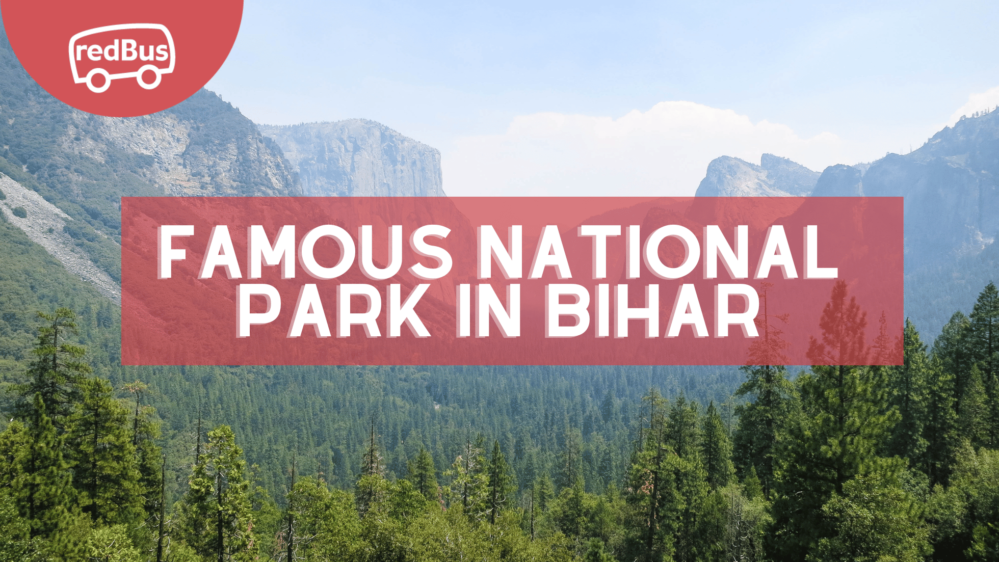 Exploring Bihar's Natural Treasures: Famous Wildlife Sanctuaries and ...