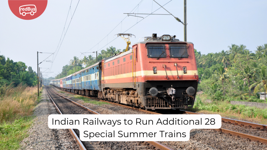 Extra 28 Special Summer Trains