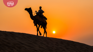 Discovering the Magic of Jaisalmer: Top 10 Things to Do in Jaisalmer