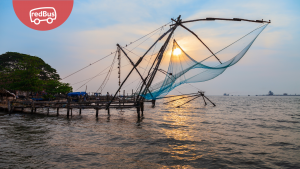 Explore Kochi: 10 Things to Do in Kochi