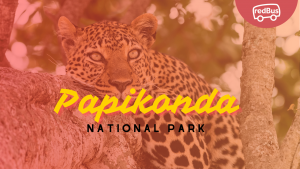 Visit Papikonda National Park