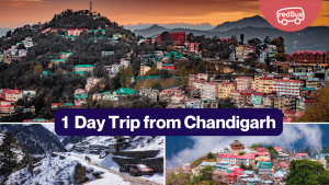 Day Trips from Chandigarh: Excursions to Nearby Destinations