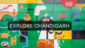 Discover Chandigarh: 20 Must-Visit Places in the City Beautiful