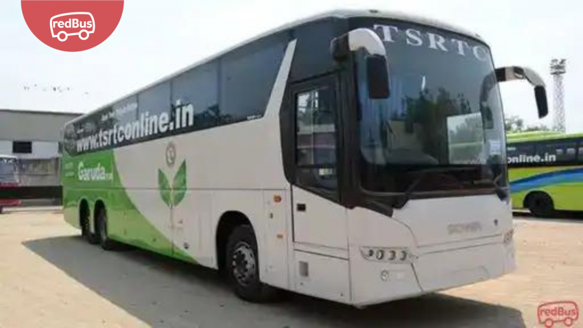 Bus Services for Election in Andhra Pradesh