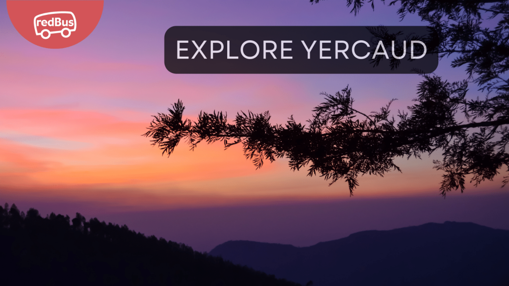 Exploring Yercaud: The Best Places to Visit in the Jewel of the South ...