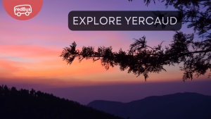 Exploring Yercaud: The Best Places to Visit in the Jewel of the South