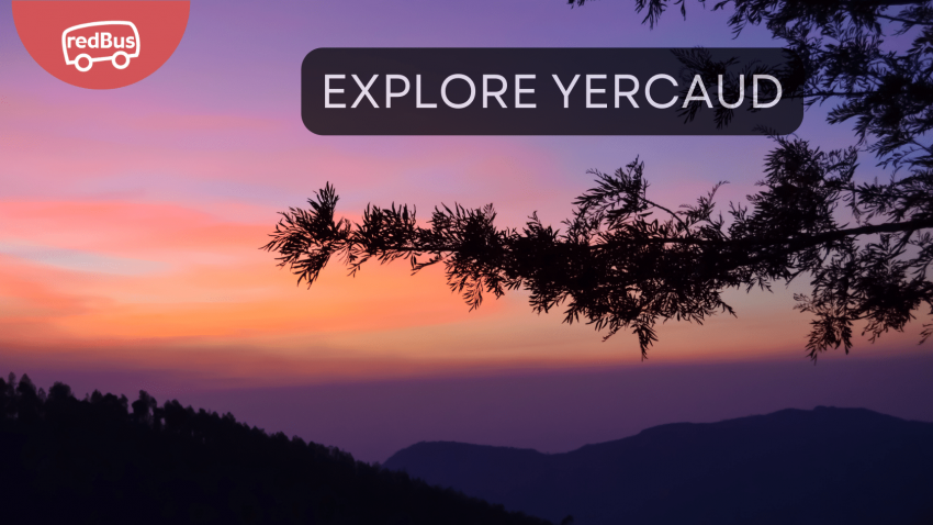 yercaud all places to visit