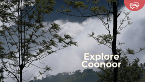 Explore  Enchanting Beauty of Coonoor: A Guide to Famous Places