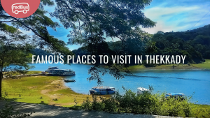 Discovering Thekkady: A Comprehensive Travel Guide to Kerala’s Wildlife Wonderland