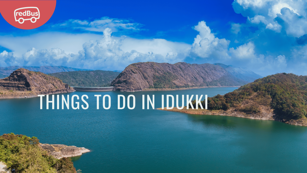 Exploring the Wonders of Idukki: A Comprehensive Travel Guide - redBus Blog