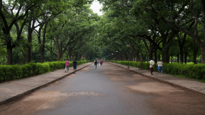 Discovering the Green Oases of Bangalore: A Guide to the Famous Parks