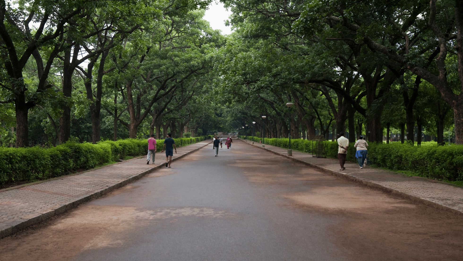 Discovering the Green Oases of Bangalore: A Guide to the Famous Parks ...